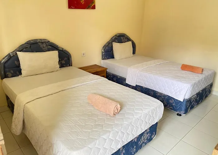 Twins Homestay